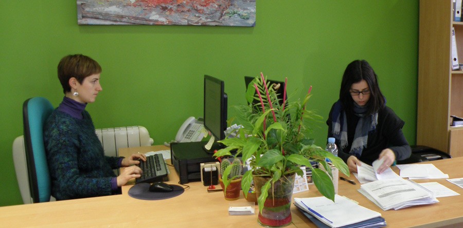 Asesoramiento mercantil